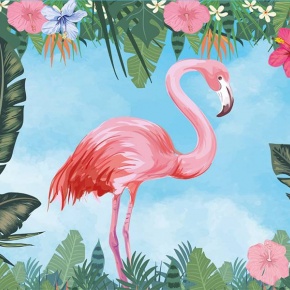 Flamingo